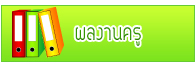 ผลงานอาจารย์